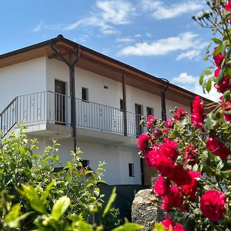 Vila Bloom Vama Veche Esterno foto