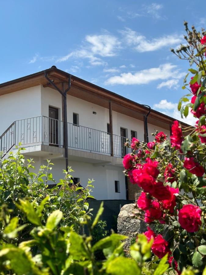 Vila Bloom Vama Veche Esterno foto